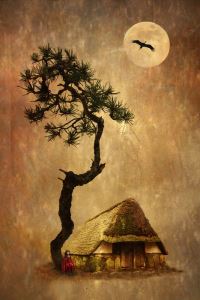 Kamo No Chomei – Cảm Nghĩ Trong Am