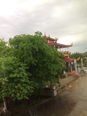 Góc Hương Đạo