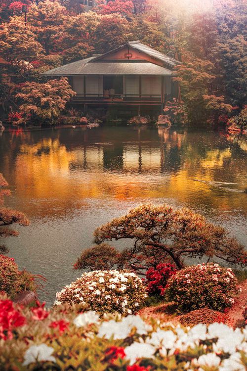 Leanne Ogasawara – The Poetry of Gardens