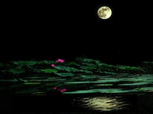 Rabindranath Tagore  – Lotus
