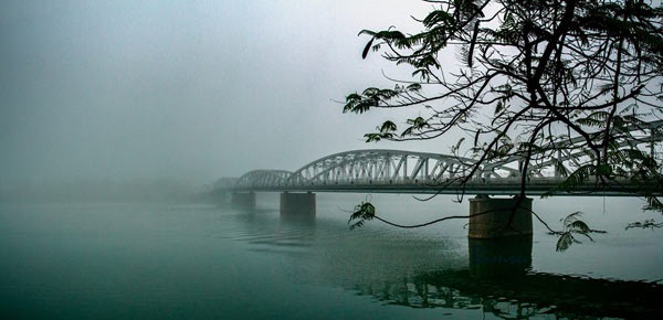 Sầu đông