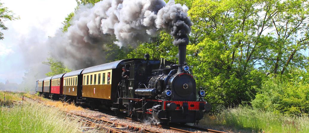 Gs. Lê Đình Thông: Chuyến tầu