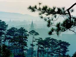 GS. Lê Đình Thông – Nhất Khí Hô Thành