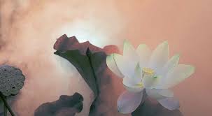 Vọng Tiếng Kinh Xưa