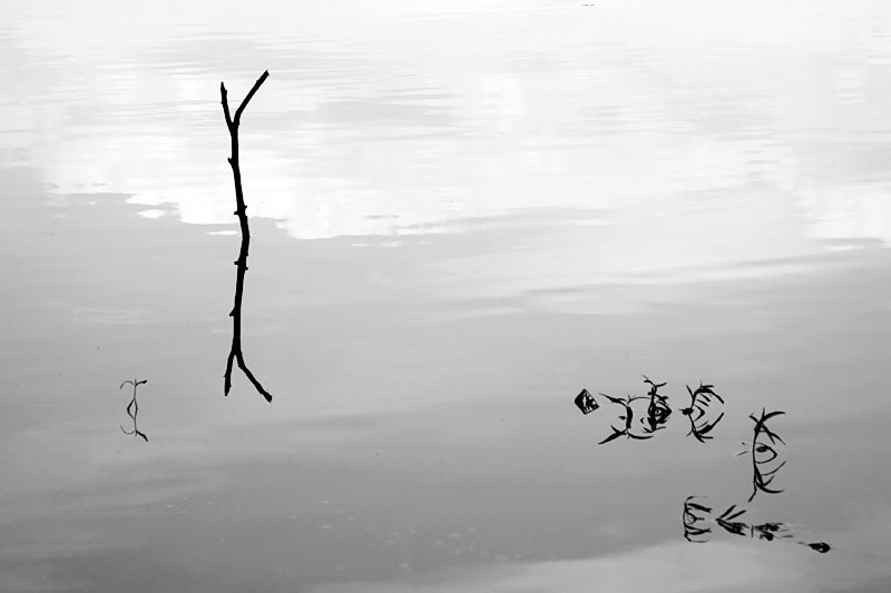 Sự Khác Biệt Giữa Thiền Chỉ và Thiền Quán