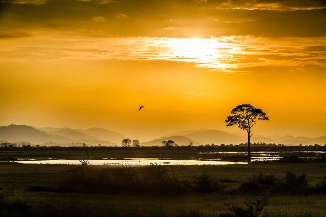 Minh Đức Hoài Trinh – Cánh Hoa Rụng Giữa Trời Man Man