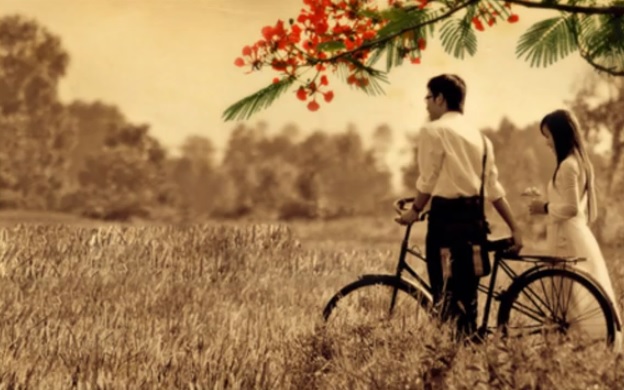 Mưa Mùa Phượng Vỹ