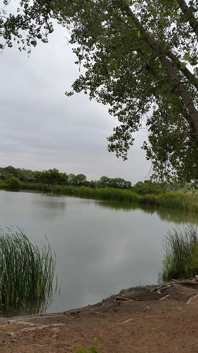 Tĩnh lặng