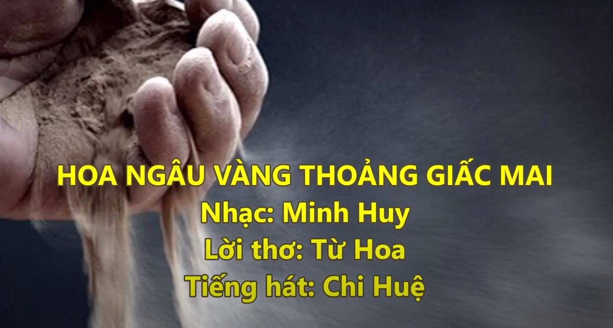 Hoa Ngâu Vàng Thoảng Giấc Mai