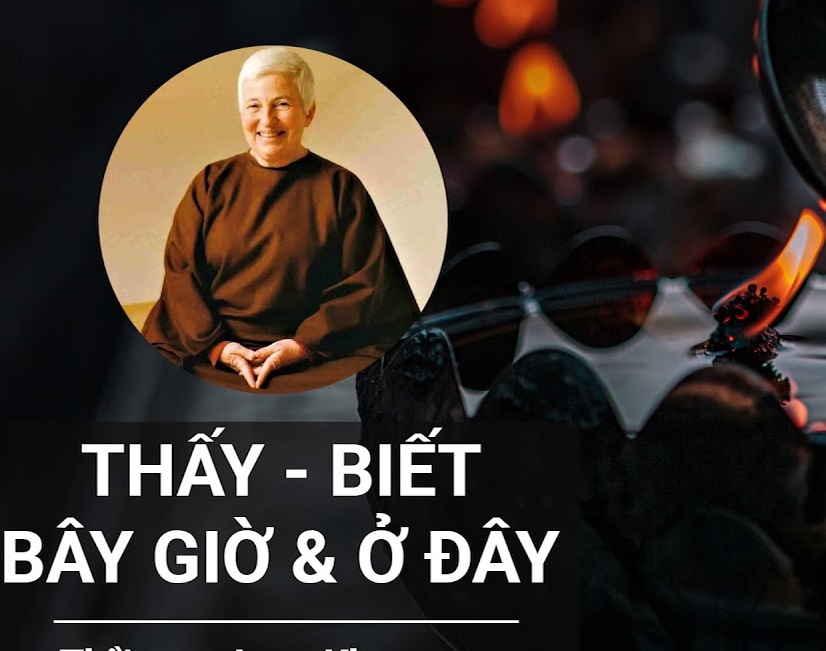 Thấy, Biết, Bây Giờ Và Ở Đây – Tâm thiền