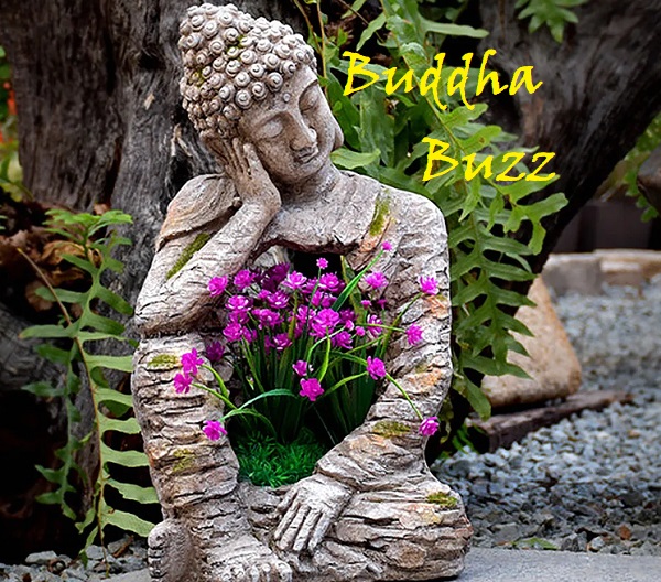 Buddha Buzz: ILLINOIS BECOMES FIRST STATE TO REQUIRE PUBLIC SCHOOLS TO TEACH ASIAN AMERICAN HISTORY