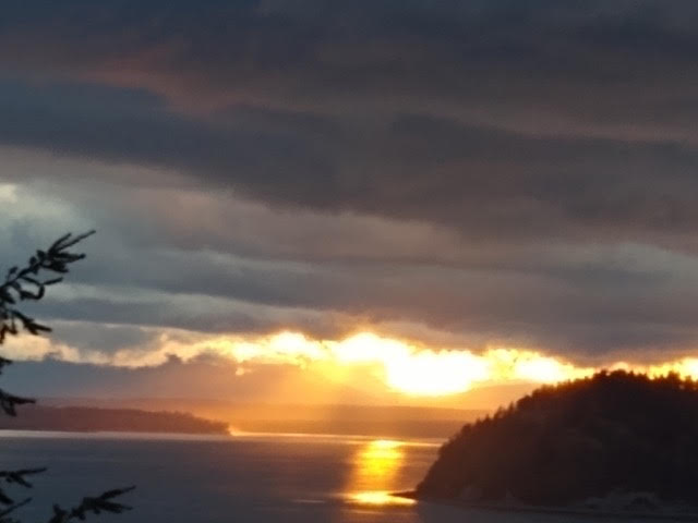 Một tiếng kêu dài lạnh thái hư…