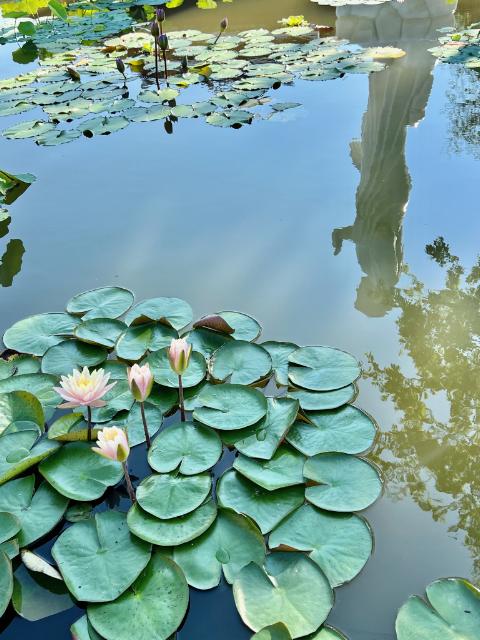 Chờ ai giữa chốn phù vân