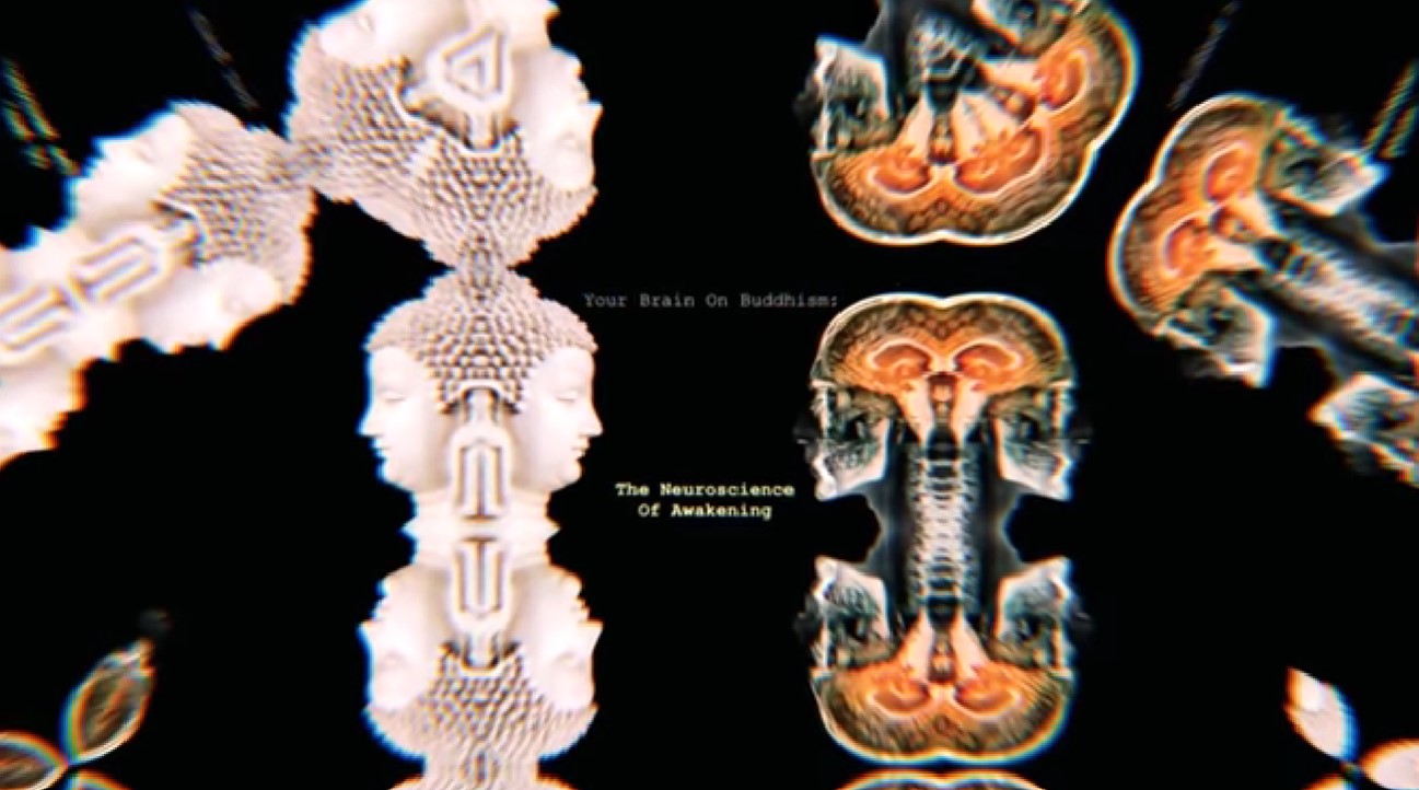 The Neuroscience Of Awakening: Your Brain On Buddhism