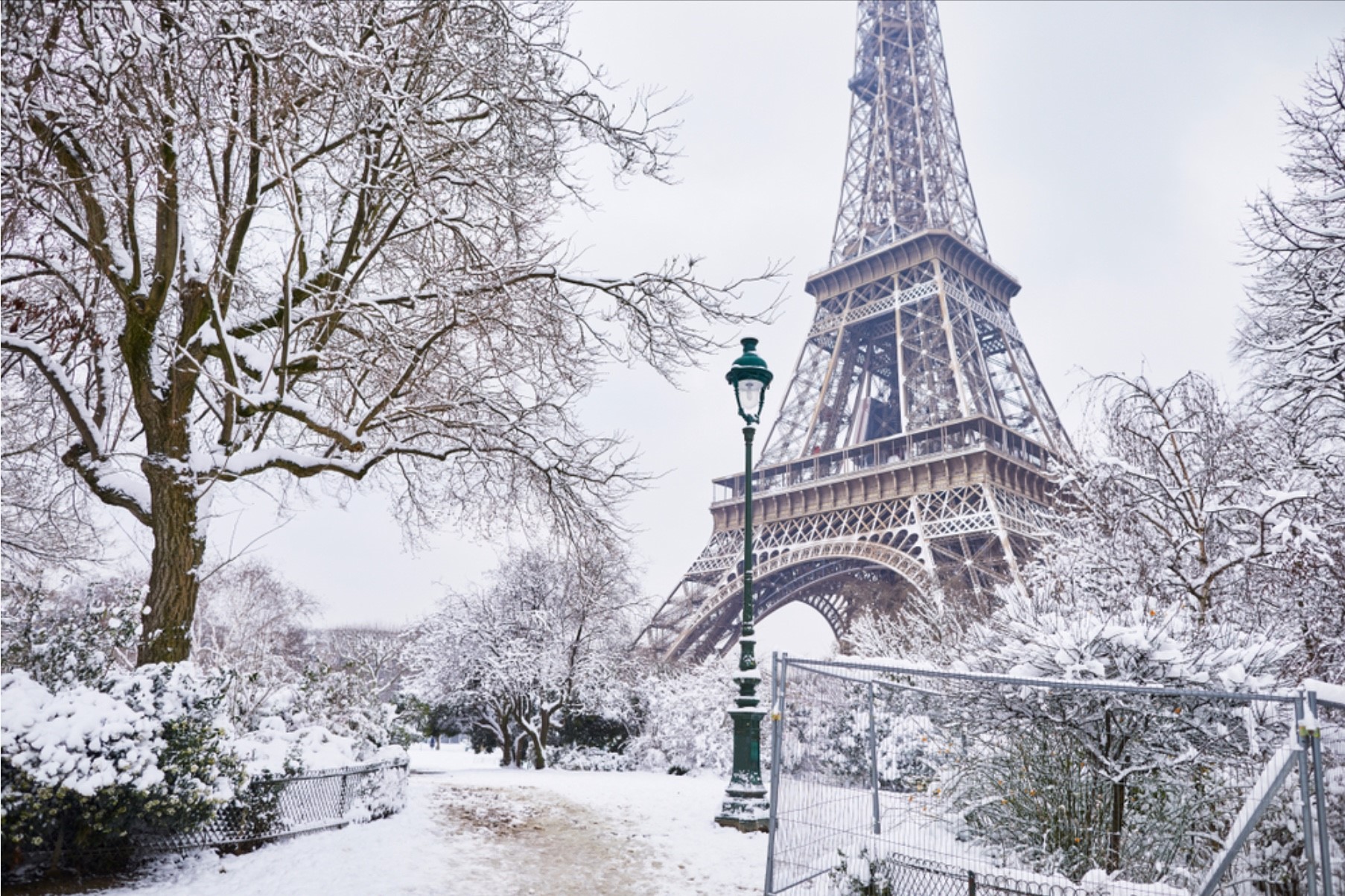 GS. Lê Đình Thông – Paris Mưa Tuyết