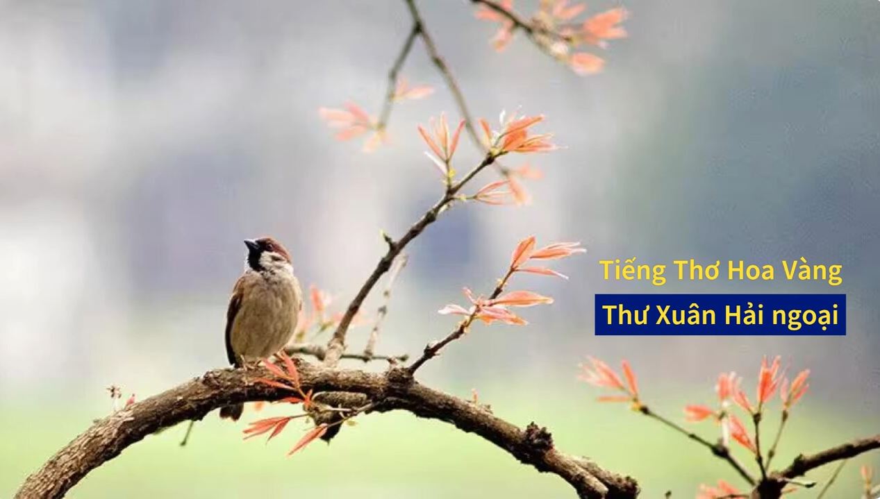 Tiếng Thơ Hoa Vàng: Thư Xuân Hải ngoại
