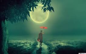 Minh Triết Tâm Linh, 01.25.2026: Trí tuệ tâm linh